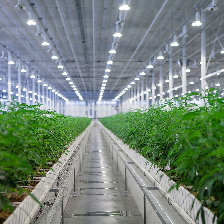 Aurora-Sky-Facility-Interior-Case-Study-General Purpose