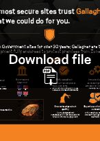 High Security Flyer download image-General Purpose