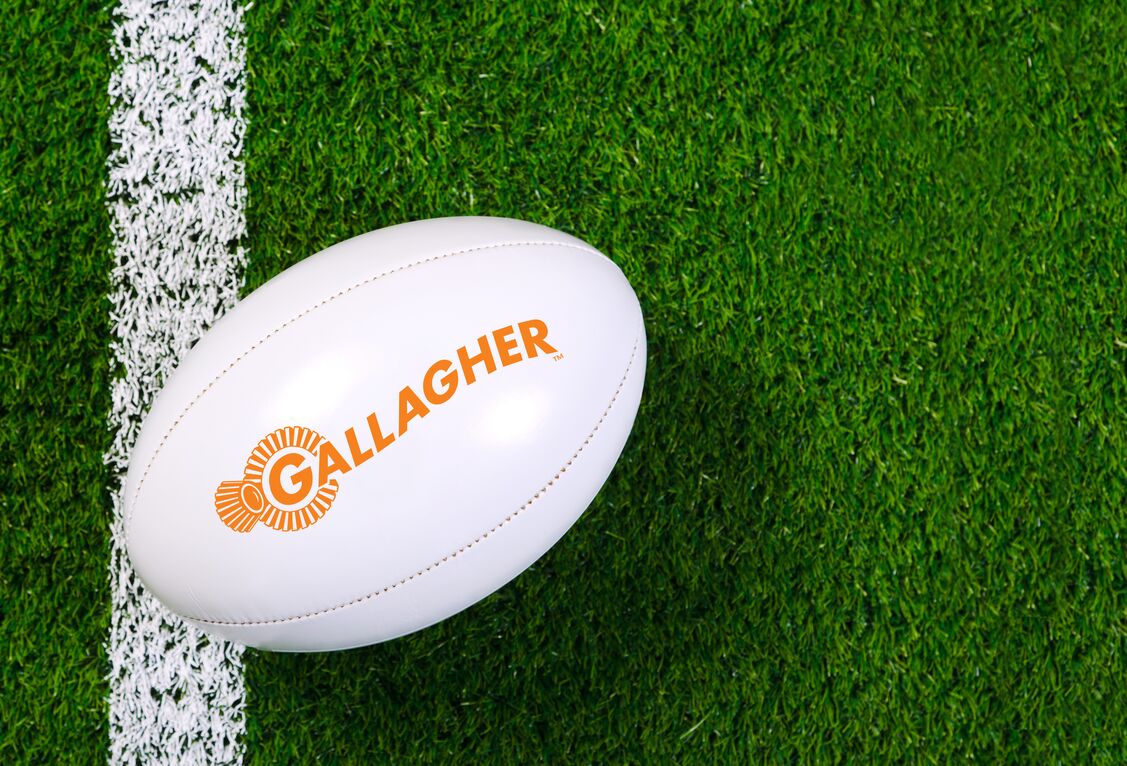 White rugby ball with Gallagher logo on a green field